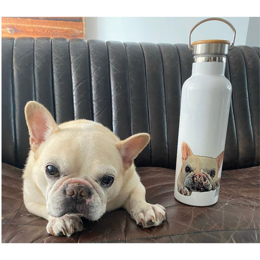 Bouteille d'eau personnalisée avec portrait d'animal de compagnie – 750 ml